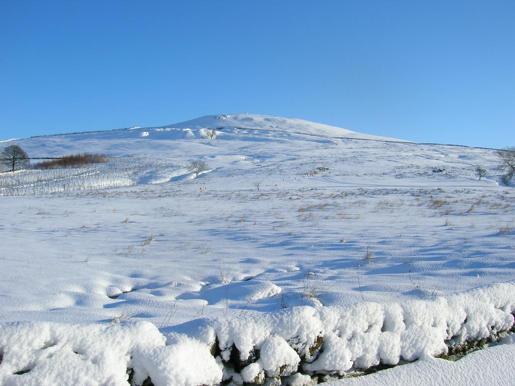 Sorbietrees B&B Newcastleton Esterno foto